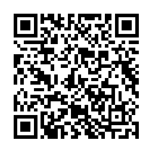 在你没有任何正当理由闯入我家主人私人领地的情况下二维码生成