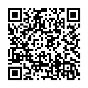 在你的心脏还在规律跳动的时候……就这么烤着二维码生成