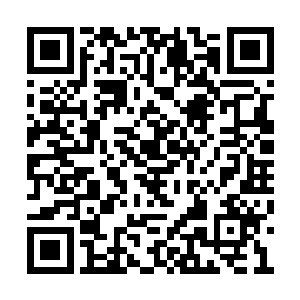 在你触目可及的所有地方都没有人类文明的痕迹二维码生成