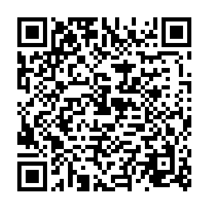 在俗世的地府当中我为什么要给你找那么多和医术没有太大关系的老师二维码生成