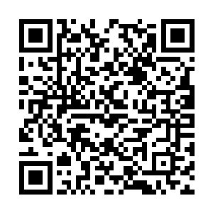 在修真界中绝对没有人能够布置出如此恐怖的阵法二维码生成