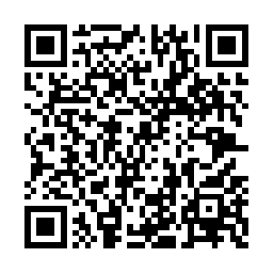 在修真界谁愿意将自己的弱点暴露在别人的面前二维码生成