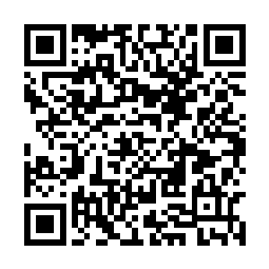 在偏向知识的学术领域努力的确是较为合适的选择二维码生成