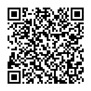 在元婴期这个境界又有盆地的区域应该就是那个有开山兽生存的区域了二维码生成