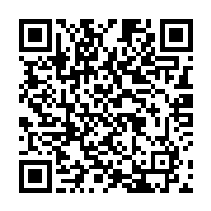 在光合作用的过程中会产生一些其他梧桐树没有的东西二维码生成