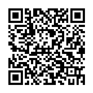 在光明圣师工会连同三大顶尖家族的联合保密之下二维码生成