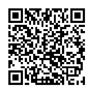 在全国果品及副食品行业联合会中有这么一条的特别规定二维码生成