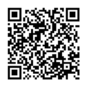 在八百艘飞龙战舰和火云兽展开激烈的战斗之时二维码生成