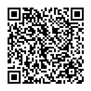 在兰鑫仙人迷茫喊出那个几年前就已经被她杀了的兰鑫仙人的前任女主人的时候二维码生成