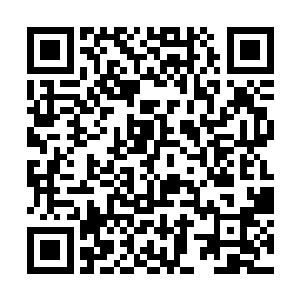 在其他人选的选择上按照惯例是不会选择其他常委的二维码生成