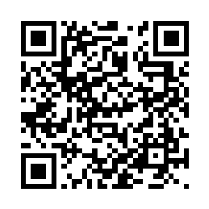 在其他王者支脉的虎视眈眈中小心翼翼的行事二维码生成