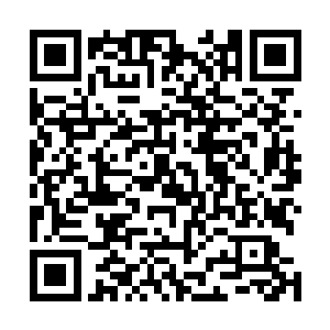 在内阁辅助阁老的辅助官员出身翰林院也就在情理之中了二维码生成