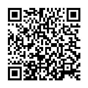 在军事学院十六岁突破六阶武者甚至七阶武者的天才多了去了二维码生成