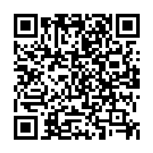 在凌云城并不存在所谓的三大家族或者四大家族二维码生成