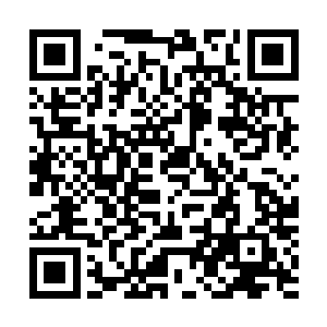 在凌菲这里还能见识到不少奇奇怪怪的东西所以便留了下来二维码生成