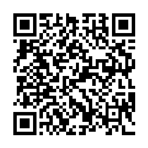 在几个人刚刚战斗不远的地方的一棵不起眼的大树上面二维码生成