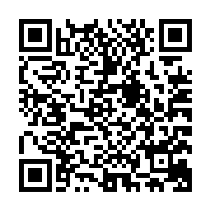 在几个呼吸不到的时间里将名震南部的两名修力天才命控于手二维码生成