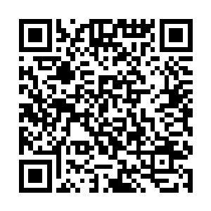 在几天前龙鼎天惶惶不可终日时也没有这么多的官话二维码生成