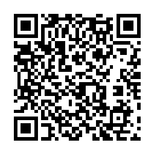 在几尽疯狂的秦逆流魔爪狠扼之下已经完全呼吸不到空气二维码生成