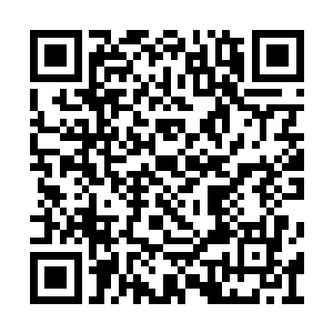 在凤火舞不解的目光之中瞬间将造化图祭了出来二维码生成