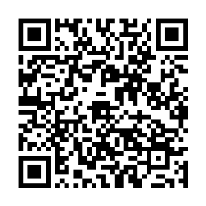 在出晏子谷不远的郊外处木萦却是突然停下了脚步二维码生成