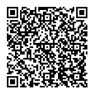 在刚刚自己为这枚蛋输入灵气的时候就已经将自己的神识尝试着深入到这枚蛋的里面去看一看二维码生成