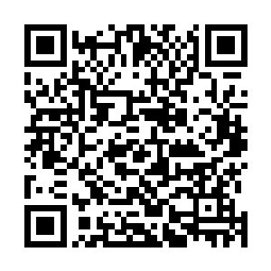 在利用这万苦血狱中的血煞之气进一步打磨了自己的灵魂二维码生成