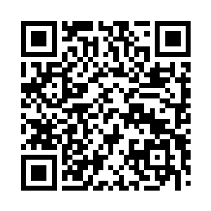 在前一天与蓝鲨灵帅协商完了应对之法后二维码生成