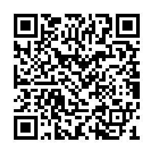 在前不久他才口口声声说自己根本就不怕喊高价二维码生成
