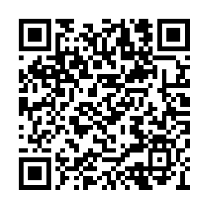 在前几个月里基本没有遇到同一等级的竞争对手二维码生成