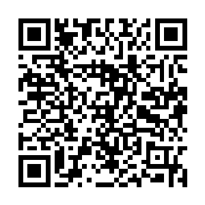 在前面四天的时间里几乎将这城池的街道都给染红二维码生成