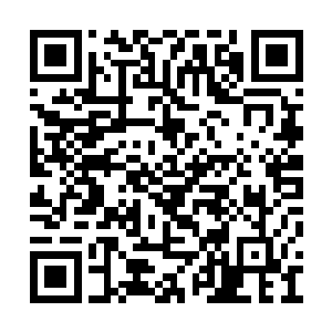 在剑尘体内破坏他血肉的毁灭法则之力纷纷消散二维码生成