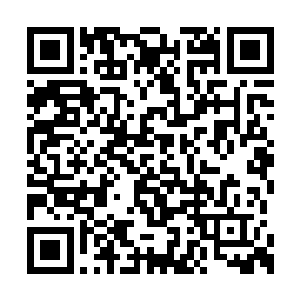 在剧本第一幕尤兰达是在学校走廊骂过男主角的二维码生成