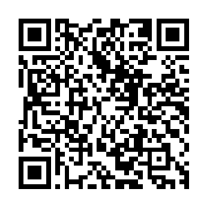 在力量和境界上的感悟都不是眼前这地仙五重天的小子可以比的二维码生成