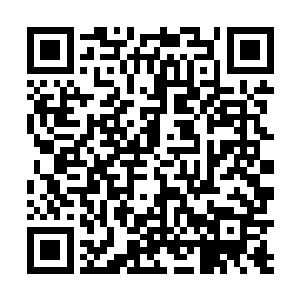 在加上了透视之术之后才堪堪能够追上女子的移动轨迹二维码生成