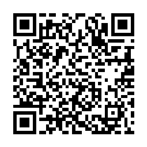 在加拿大生活了将近七年的叙毛就这样被无情驱逐二维码生成