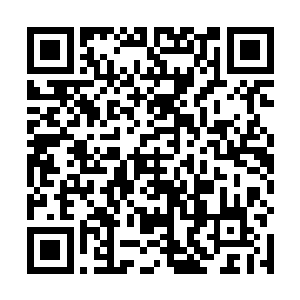 在动筷子的那一刻楚阳突然发现凤辰一直在盯着白面看二维码生成