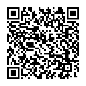 在劫雷和武气皇者双重攻击下仍顽强保存下来的武气尊者巅峰的骨骼二维码生成