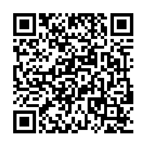 在北美的曲线已经基本确定――得益于前两周的积累二维码生成