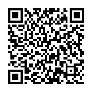 在北镇抚司办公的秦林看到各衙门抄送来的公文二维码生成