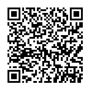 在十三香和它打的难分难解僵持了一会儿后也终于醒悟反应了过来二维码生成