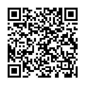 在千机大陆养剑池核心以外的地方与炎宵大陆沿海港口二维码生成