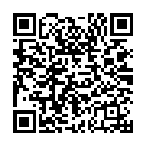 在千钧一发之际强行将飞掠而出的飞剑停滞在了半空中二维码生成