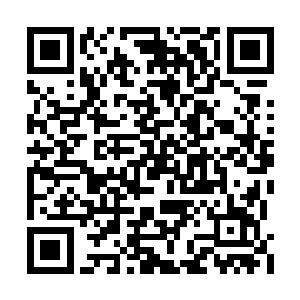 在半个小时之内成为了这个世界上最亲密的朋友二维码生成