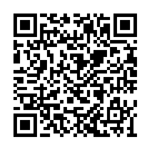 在半空中喋血不止的阳族强者们还没弄明白状况二维码生成