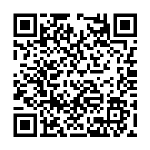 在半道上看到了已经被两个宫女带领的夜染一行人二维码生成