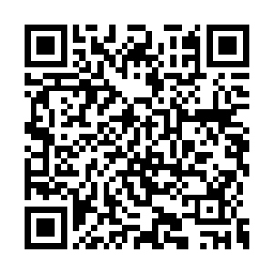 在卫斯理的眼睛里面也是出现了些许的图像资料二维码生成