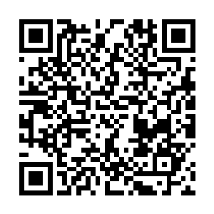 在厉家和蜂巢监狱见惯了各种恐怖怪物的少年真没想到二维码生成