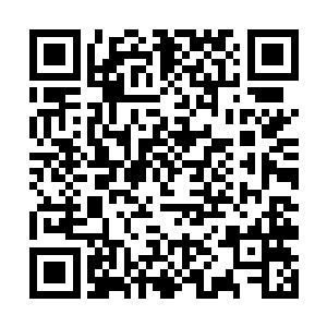 在厚墙一般的藤蔓灌木荒草和植物中劈出一条小径来二维码生成