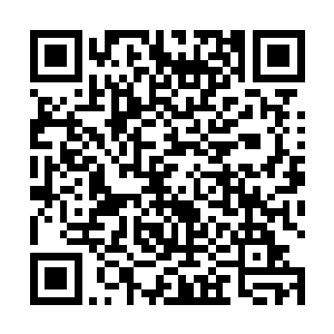 在厨房里忙活的陈露萍抽空端了一盘切好的哈密瓜出来二维码生成
